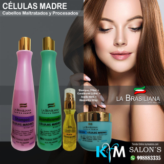 Combo: Shampoo 335ml. + Conditioner 335ml. + Máscara 335gr. + Aceite 50ml. Células Madre La Brasiliana Premium CodCelPre