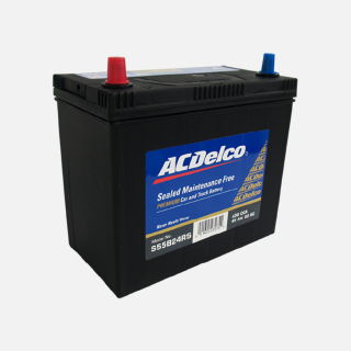Batería Ac Delco S55B24RS Pza.