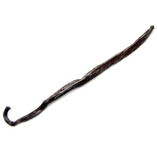 Vaina de Vainilla 1und