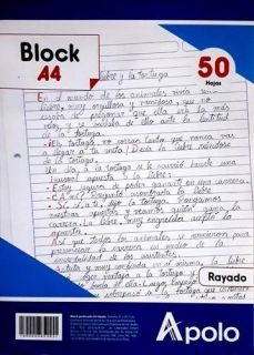 BLOCK PERFORADO A-4 50H RAYADO
