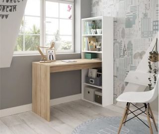 ESCRITORIO ESTANTE DOS COLORES