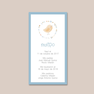 Capillos- Pajarito amarillo