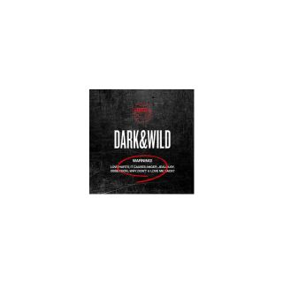BTS - DARK and WILD