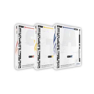 Stray Kids - GO LIVE