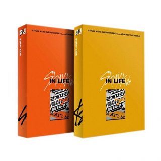 Stray Kids - IN LIFE
