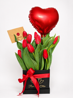 BOX DE TULIPANES