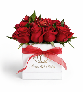 BOX 12 ROSAS