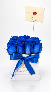 MAGIA AZUL