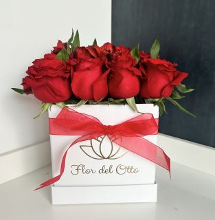 BOX 12 ROSAS
