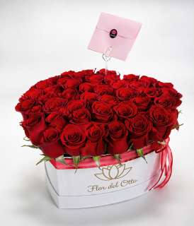 GRAN CORAZON DE AMOR