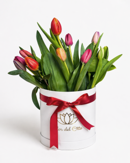 TULIPANES COLORIDOS