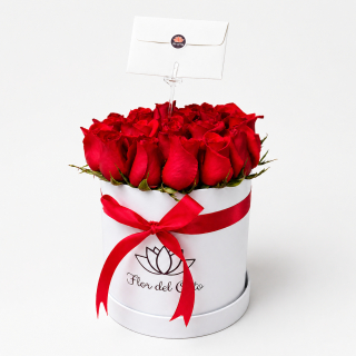FULL ROSAS