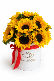 BOMBA DE GIRASOLES