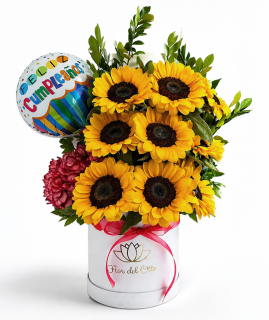 GIRASOLES YEYE