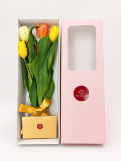 TULIP BOX FIVE