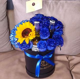 SOMBRERERA CIELO Y SOL