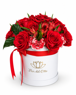 BOX LADY ROSE