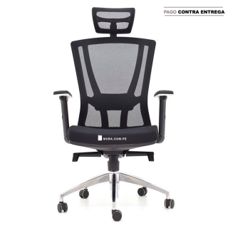 Winner  Presidente Premium