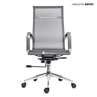 Apolo Presidente Gris