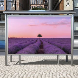 IMPRESIÓN EN VINIL ADHESIVO