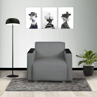 Sofá  Francia 1 cuerpo M-Grafito