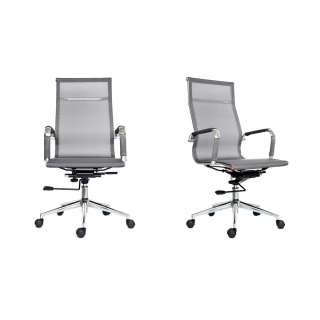 Apolo Presidente Gris