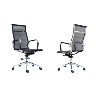 Apolo Presidente Negro