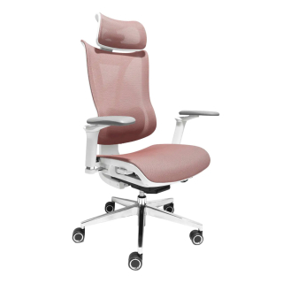 Silla Ergonómica Lumera Premium Rosa Ofideas