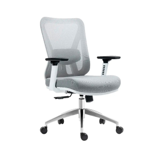 Silla Ergonómica Smart Premium Gerente Blanco/Gris Ofideas