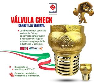 VALVULA CHECK DE PIE BRONCE