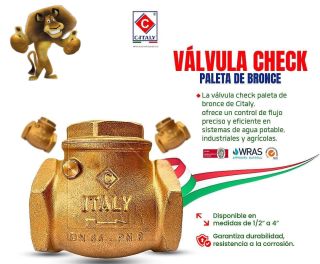 VALVULAS CHECK DE BRONCE