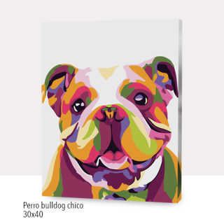 Paint by numbers Perro Bulldog chico 30x40cm