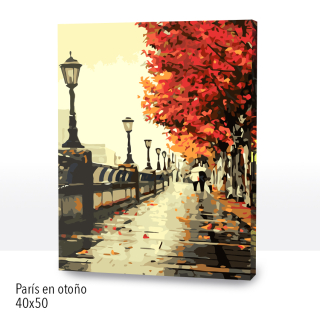 Paint by Numbers Paris en Otoño 40x50cm