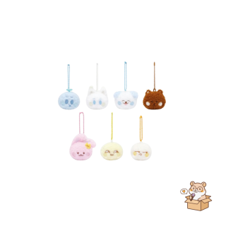 NCT DREAM - 2024 NCT DREAM WORLD TOUR FINALE : FANLIGHT DOLL KEY RING