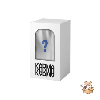 STRAY KIDS - 4 TH ALBUM KARMA ( SKZOO VER RANDOM )