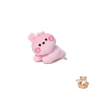BT21 - COOKY MININI LYING DOLL