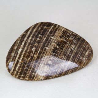 Piedra de Palma de Aragonita