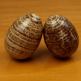 Huevos tallados de Piedra Aragonita
