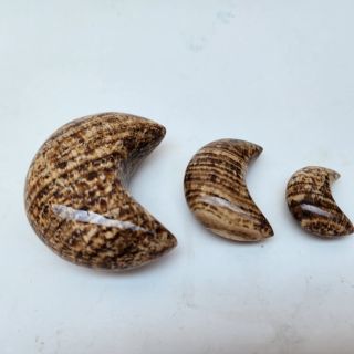 Lunas talladas de piedra Aragonita