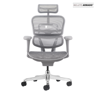 Silla Ergohuman Basic Gris