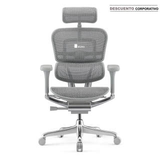 Silla Ergohuman Elite Gris