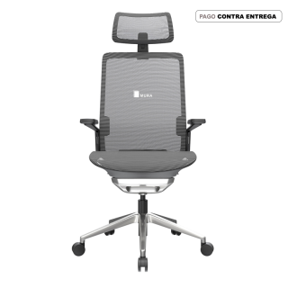 Silla Dream Presidente