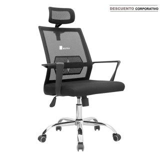 Silla Lyn Presidente