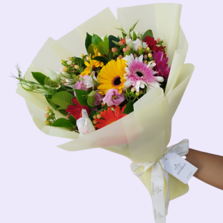 SUSCRIPCION 5 GERBERAS