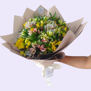 SUSCRIPCION 1 ASTROMELIAS