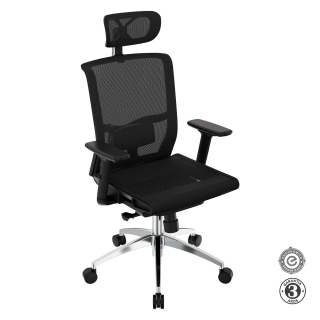 Silla Ergonómica Delphi Full Presidente Negro Althea Confort