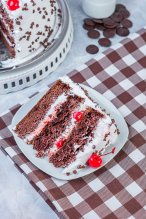 PORCIÓN  DE TRES LECHES DE CHOCOLATE