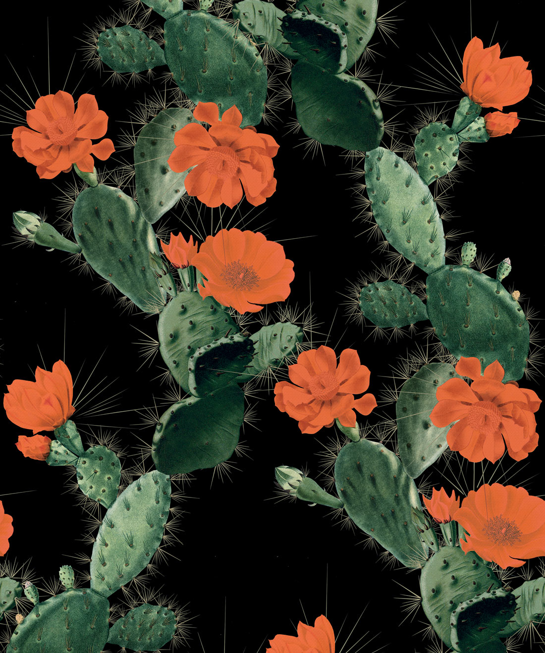 Alluring Cactus Wallpaper • Bold Bright Cacti Design • Milton & King