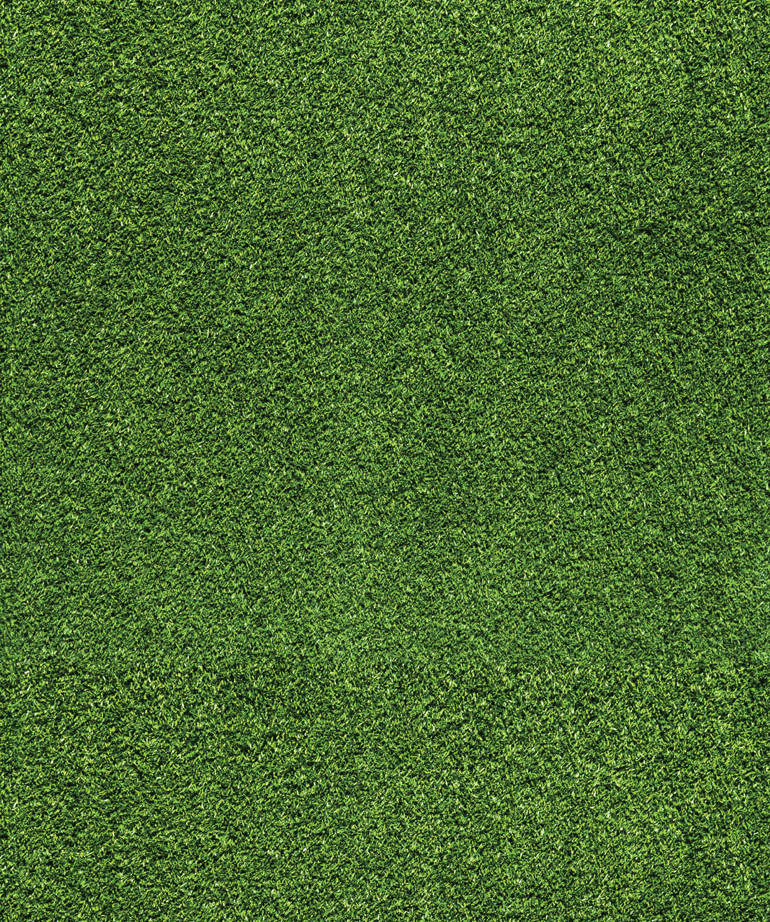 Artificial Turf Wallpaper • Fake Green Grass • Milton & King UK