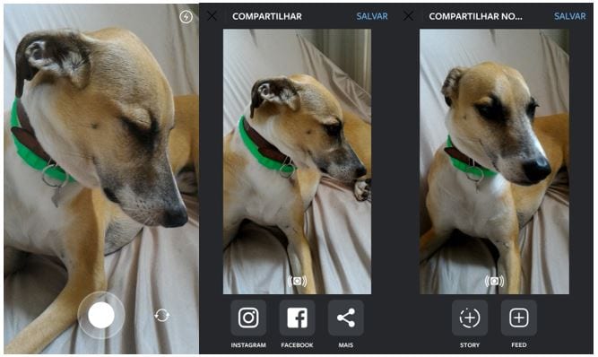 boomerang-instagram